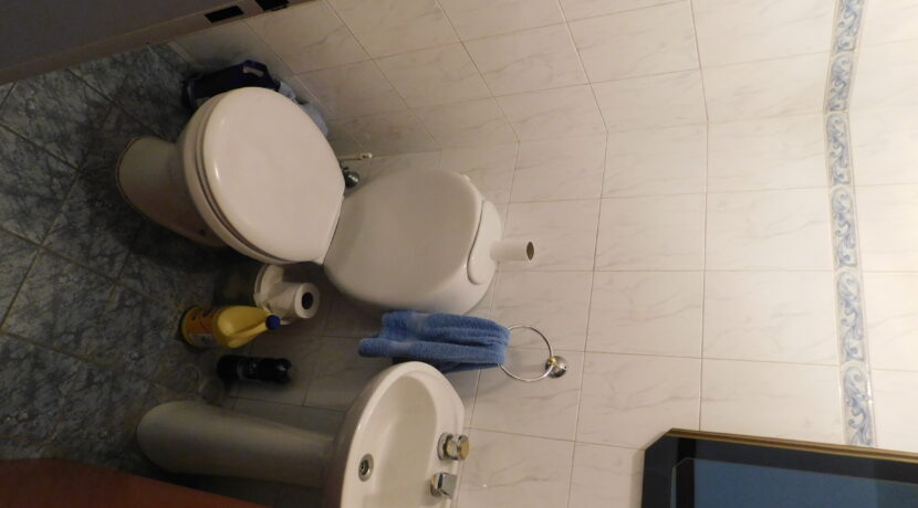 DSCN0451